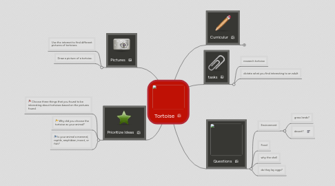 Mind Map: Tortoise