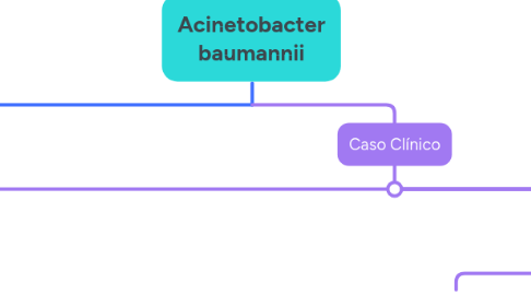 Mind Map: Acinetobacter baumannii