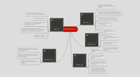 Mind Map: VERTEBRADOS