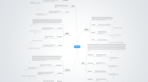 Mind Map: Vertebrados