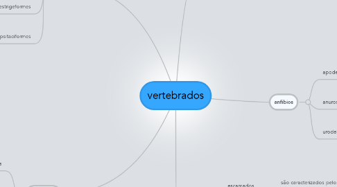 Mind Map: vertebrados