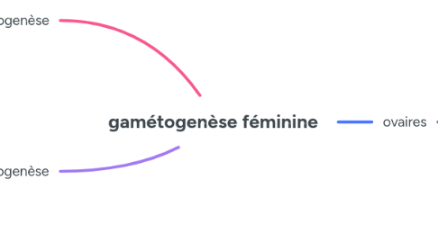 Mind Map: gamétogenèse féminine