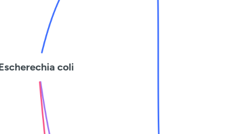Mind Map: Escherechia coli