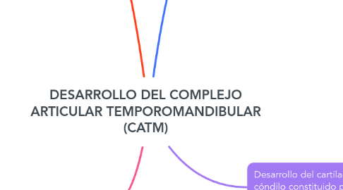 Mind Map: DESARROLLO DEL COMPLEJO ARTICULAR TEMPOROMANDIBULAR (CATM)