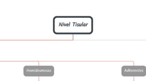 Mind Map: Nivel Tisular