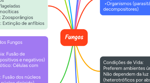 Mind Map: Fungos