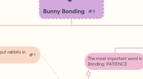 Mind Map: Bunny Bonding
