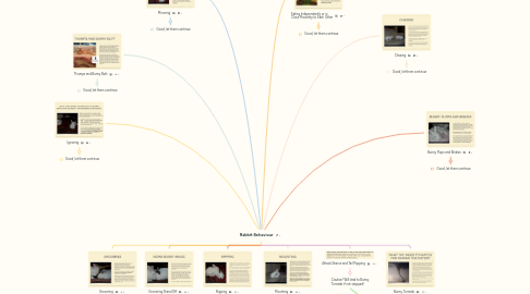 Mind Map: Rabbit Behaviour