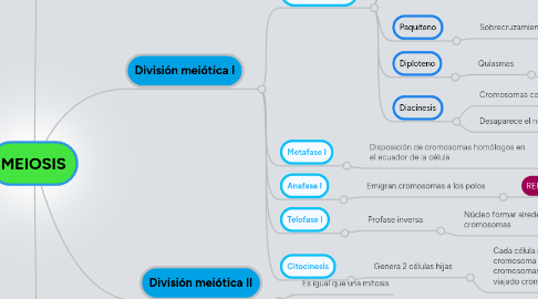 Mind Map: MEIOSIS