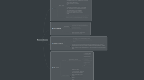 Mind Map: Mecanismos de Protección