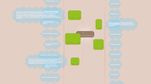 Mind Map: MUNDO MICROSCOPICO