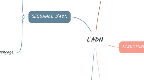 Mind Map: L'ADN