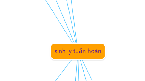 Mind Map: sinh lý tuần hoàn