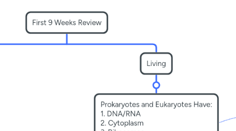 Mind Map: First 9 Weeks Review