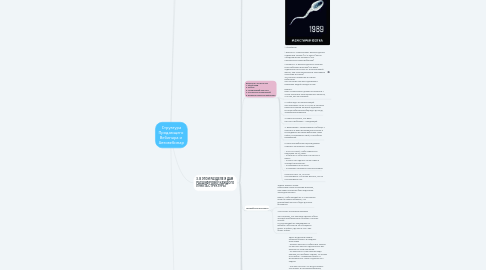 Mind Map: Структура Продающего Вебинара и Автовебинар