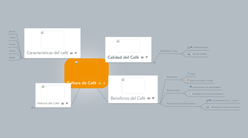 Mind Map: Cultura de Cafè