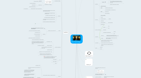 Mind Map: Team Psychology