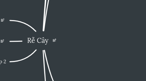 Mind Map: Rễ Cây