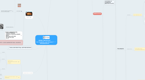 Mind Map: KIDNEY PATHOLOGY (non-neoplastic renal diseases) www.pathedu.eu