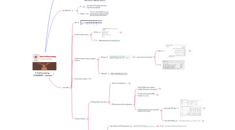 Mind Map: 7. PreProcessing - CLEANING - example