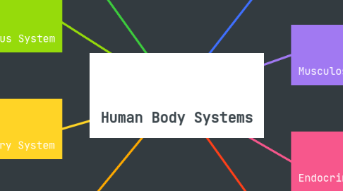 Mind Map: Human Body Systems