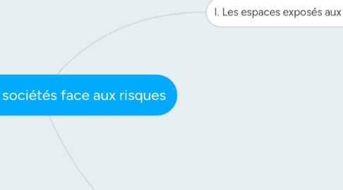 Mind Map: Partie 1 - Les sociétés face aux risques