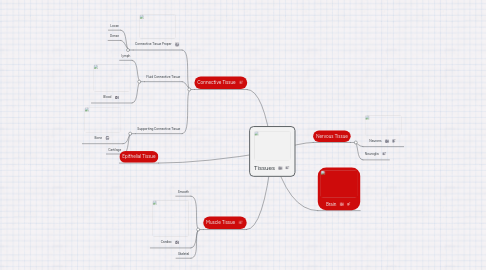 Mind Map: Tissues