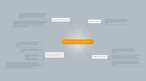 Mind Map: Proceso de revisión Ambiental