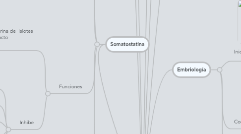 Mind Map: Páncreas endócrino