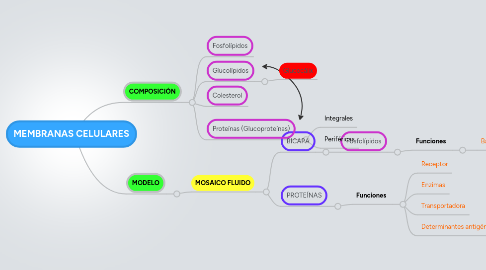 Mind Map: MEMBRANAS CELULARES