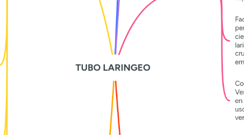 Mind Map: TUBO LARINGEO