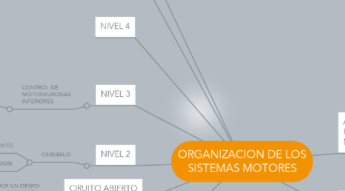 Mind Map: ORGANIZACION DE LOS SISTEMAS MOTORES