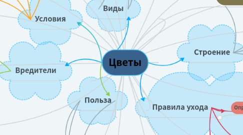 Mind Map: Цветы