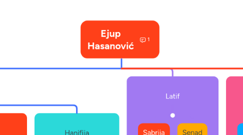 Mind Map: Ejup Hasanović
