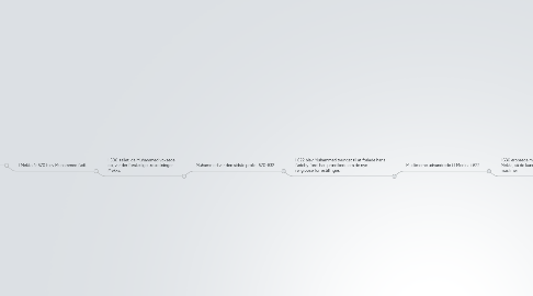 Mind Map: Islam