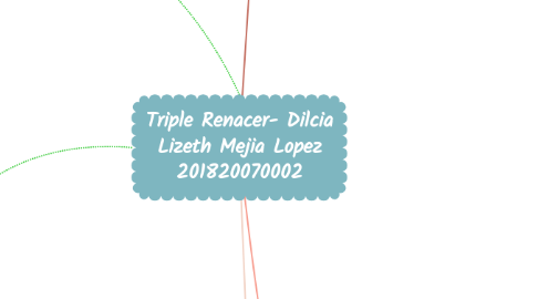 Mind Map: Triple Renacer- Dilcia Lizeth Mejia Lopez 201820070002