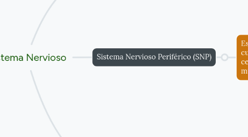 Mind Map: Sistema Nervioso