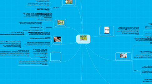 Mind Map: בטיחות בשעות הפנאי