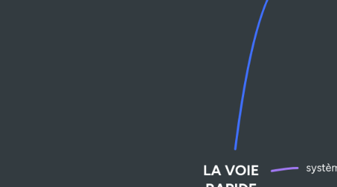 Mind Map: LA VOIE RAPIDE