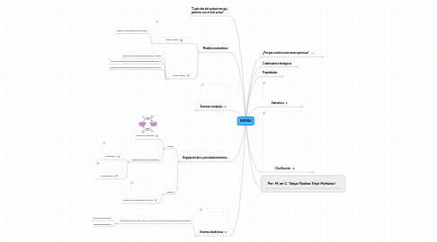 Mind Map: ENZIMAS