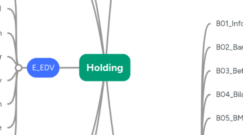 Mind Map: Holding