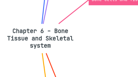 Mind Map: Chapter 6 - Bone Tissue and Skeletal system