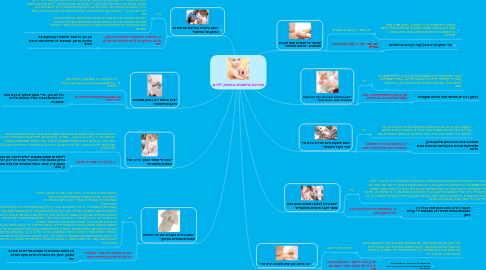 Mind Map: הפרכת מיתוסים בחיסון ילדים