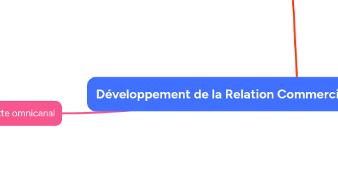 Mind Map: Développement de la Relation Commerciale et de la vente conseil
