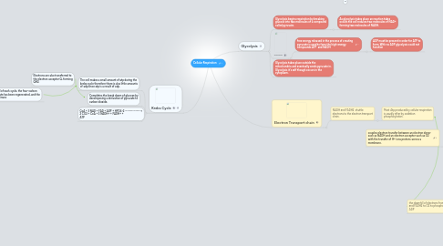 Mind Map: Cellular Respiration