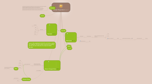 Mind Map: Cellular Respiration