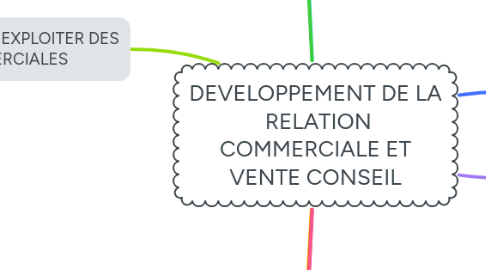 Mind Map: DEVELOPPEMENT DE LA RELATION COMMERCIALE ET VENTE CONSEIL