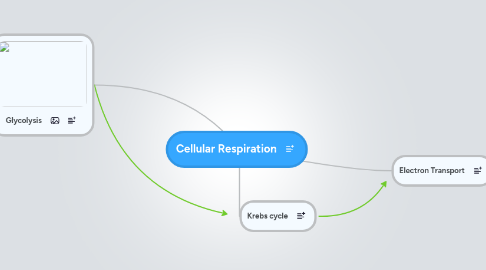 Mind Map: Cellular Respiration