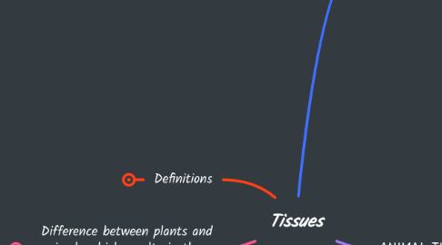 Mind Map: Tissues