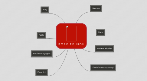 Mind Map: B O Z K I R K U R D U